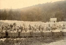 Gypsum Quarry at St. Ann's