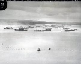 Sydney Harbour Convoys