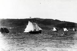 Sailboat Race at Baddeck