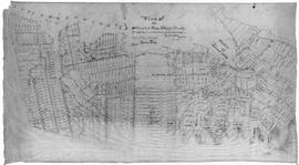 Plan of the Settlement of River John & Vicinity