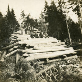 Men at lumber camp