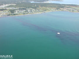 Eastern Passage 4 [aerial photograph]